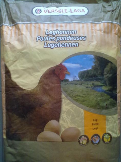 201402222637.jpg